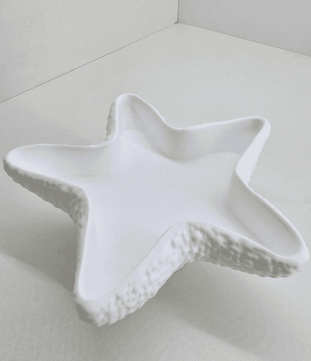 Étoile de mer 